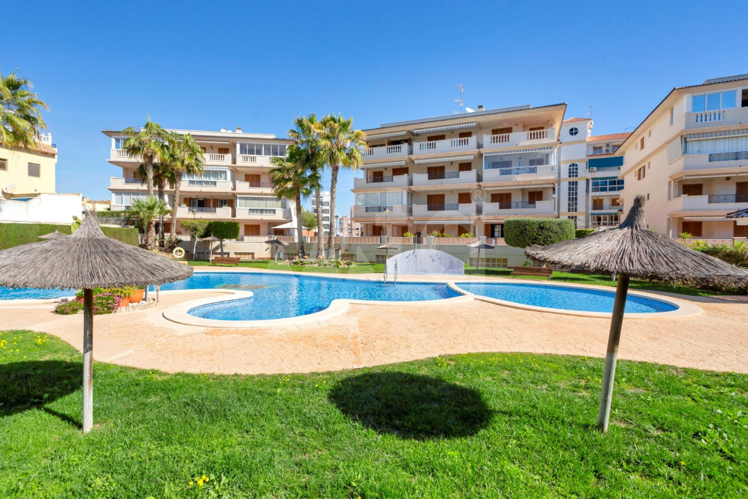 1 ložnice Apartmán v La Mata - GVS51780 - 1