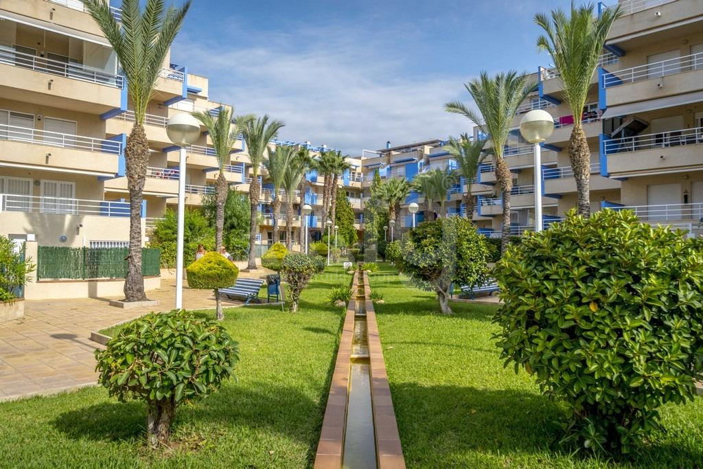 2 bedroom Apartment in Cabo Roig - URE56150 - 18