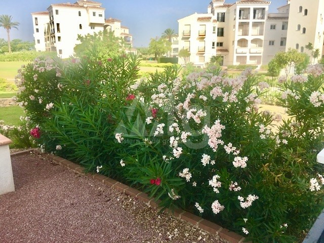 2 bedroom Apartment in Murcia - RST53030 - 26