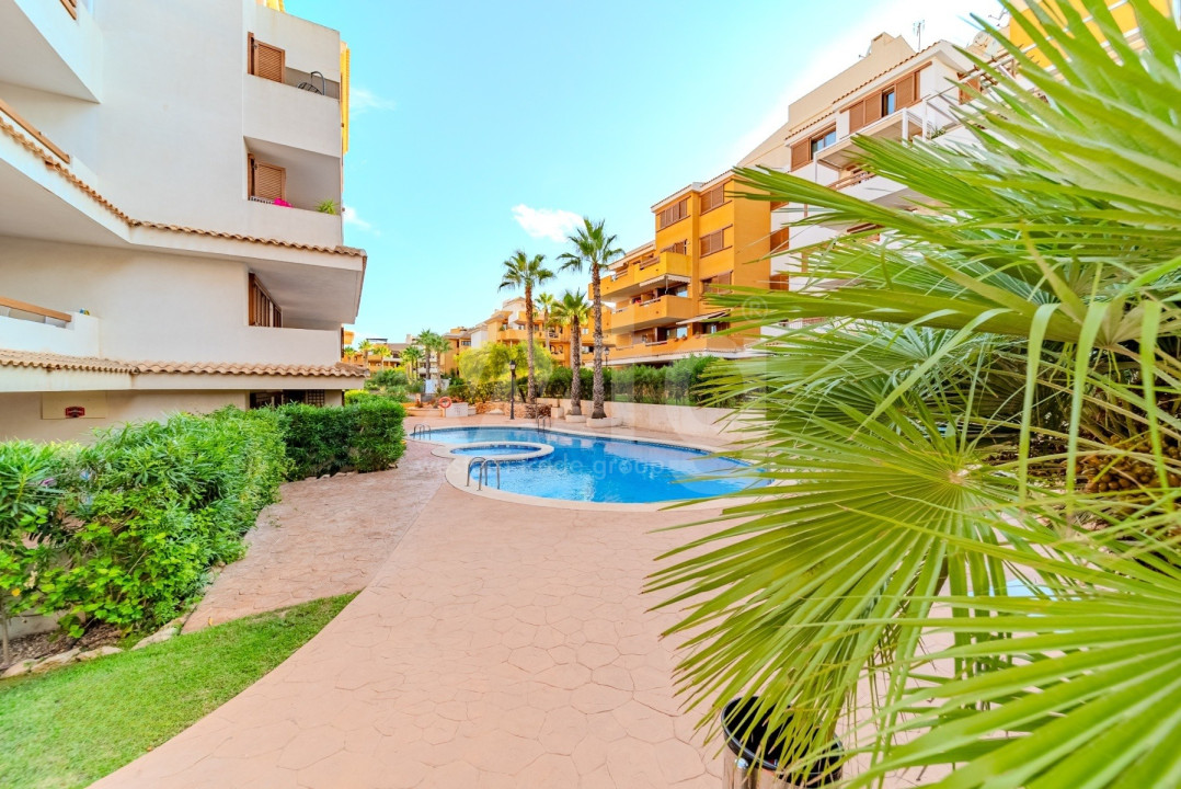 2 bedroom Apartment in Punta Prima - LR61713 - 1