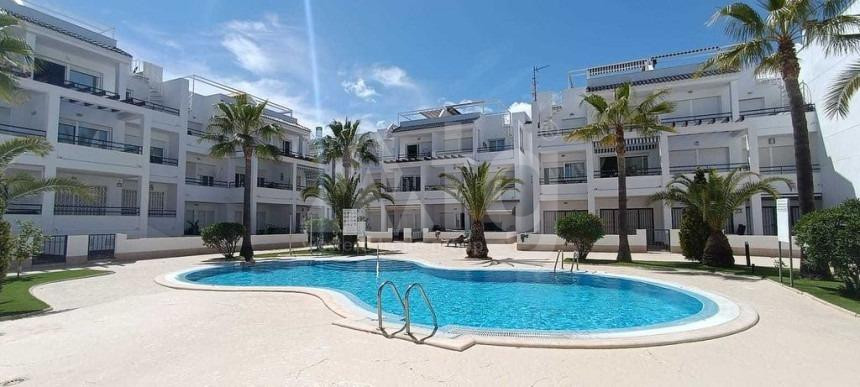 2 bedroom Apartment in Torrevieja - SHL56671 - 1