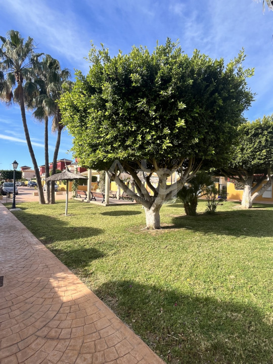 2 bedroom Bungalow in Lomas de Cabo Roig - SLS59427 - 27