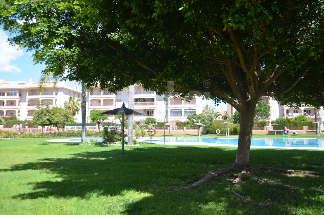 2 bedroom Penthouse in Playa Flamenca - AI55010 - 19