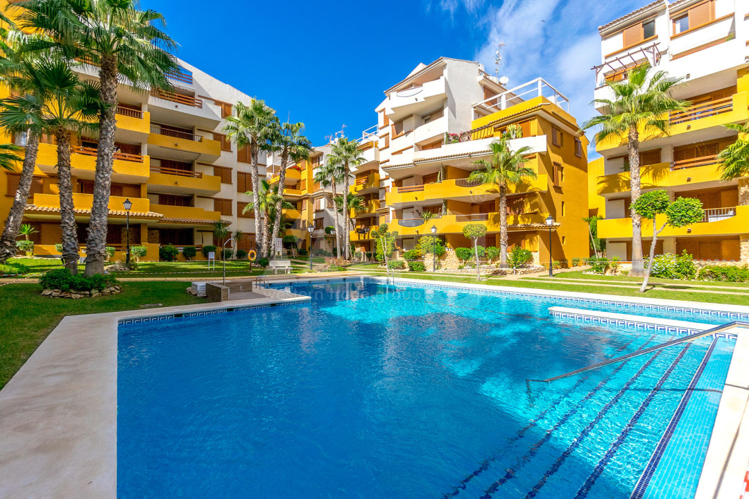 2 bedroom Penthouse in Torrevieja - B58443 - 1