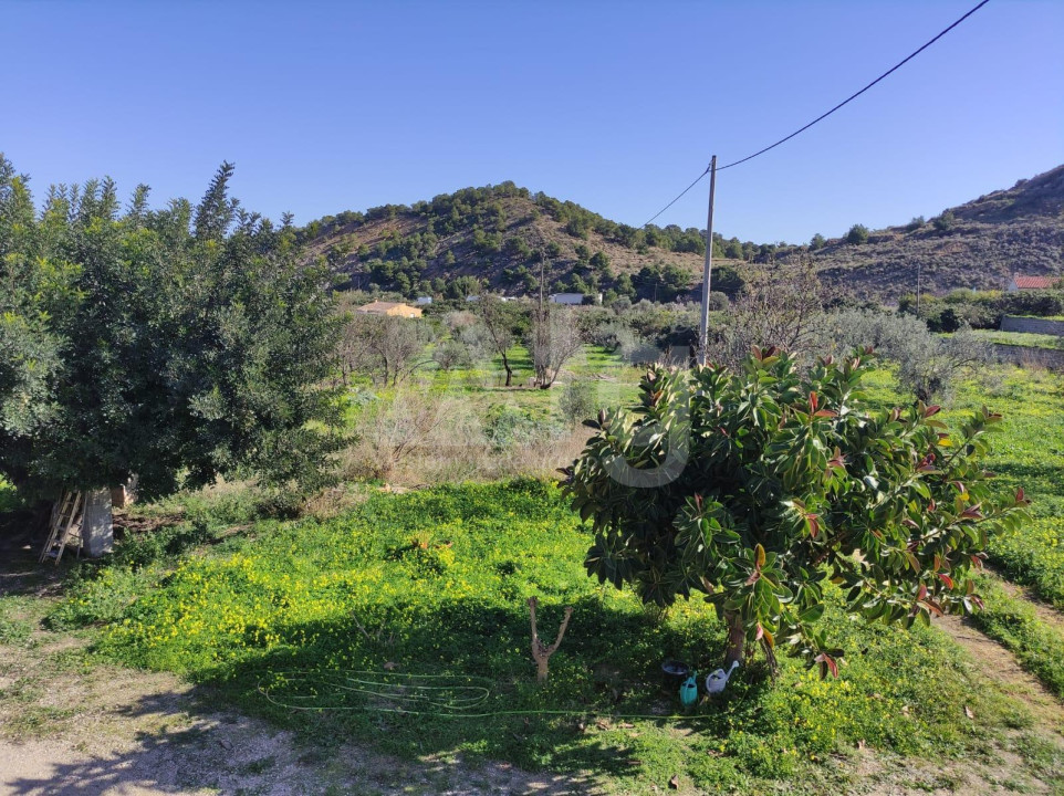 3 Schlafzimmer Villa in Altea - CPP59874 - 15