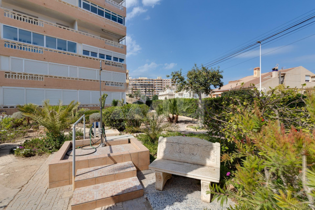 Apartament w La Mata, 1 sypialnie - CBH54084 - 3