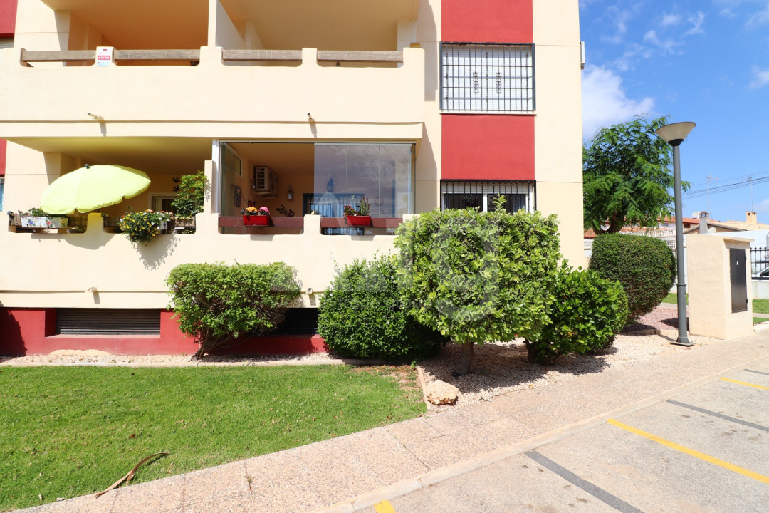 Apartament w Playa Flamenca, 2 sypialnie - VRE56717 - 22