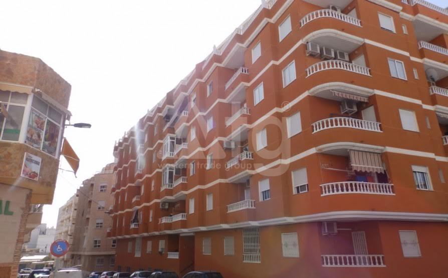Apartments in Torrevieja, area 50 m<sup>2</sup> - W3881 - 1