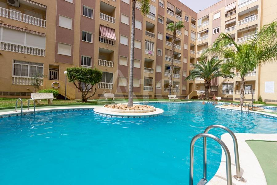 Appartement de 3 chambres à Torrevieja - CBH57051 - 24