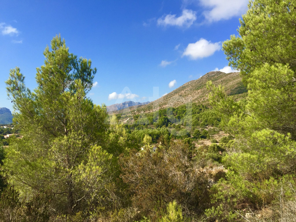  Grundstück in Benissa- PVS38729 - 20