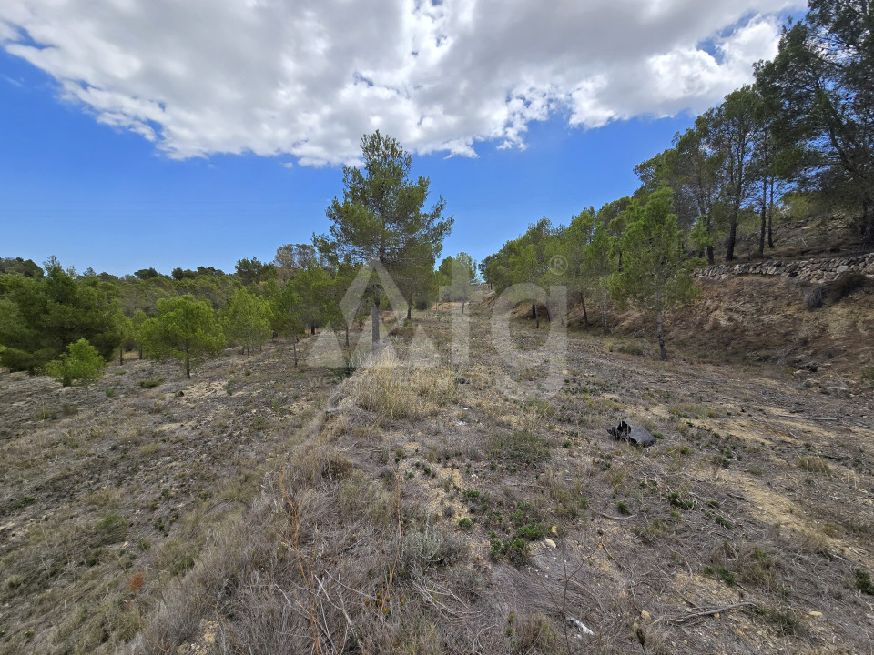  Grundstück in La Nucia- PX57502 - 5