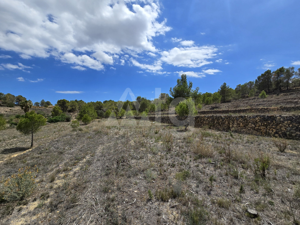  Grundstück in La Nucia- PX57502 - 21