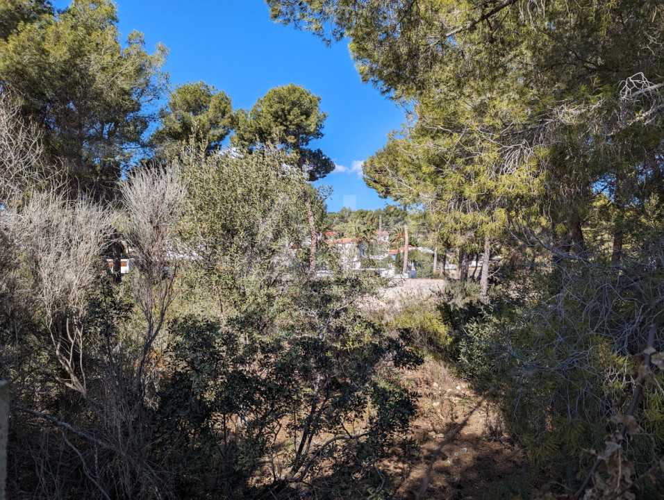  Grundstück in Moraira- CBP49790 - 6