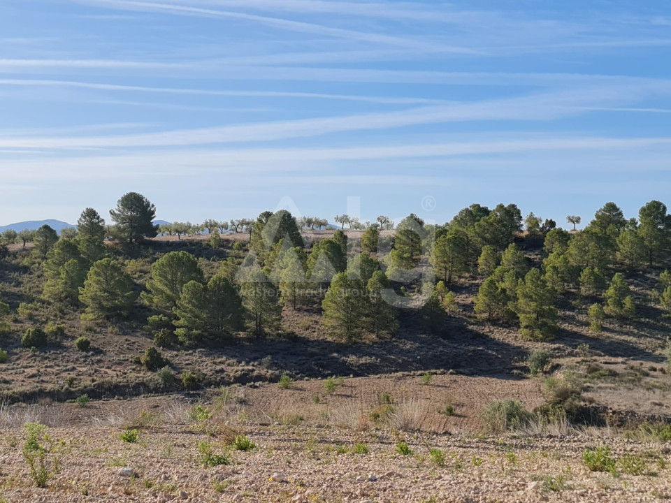  Grundstück in Murcia- SIP56396 - 7