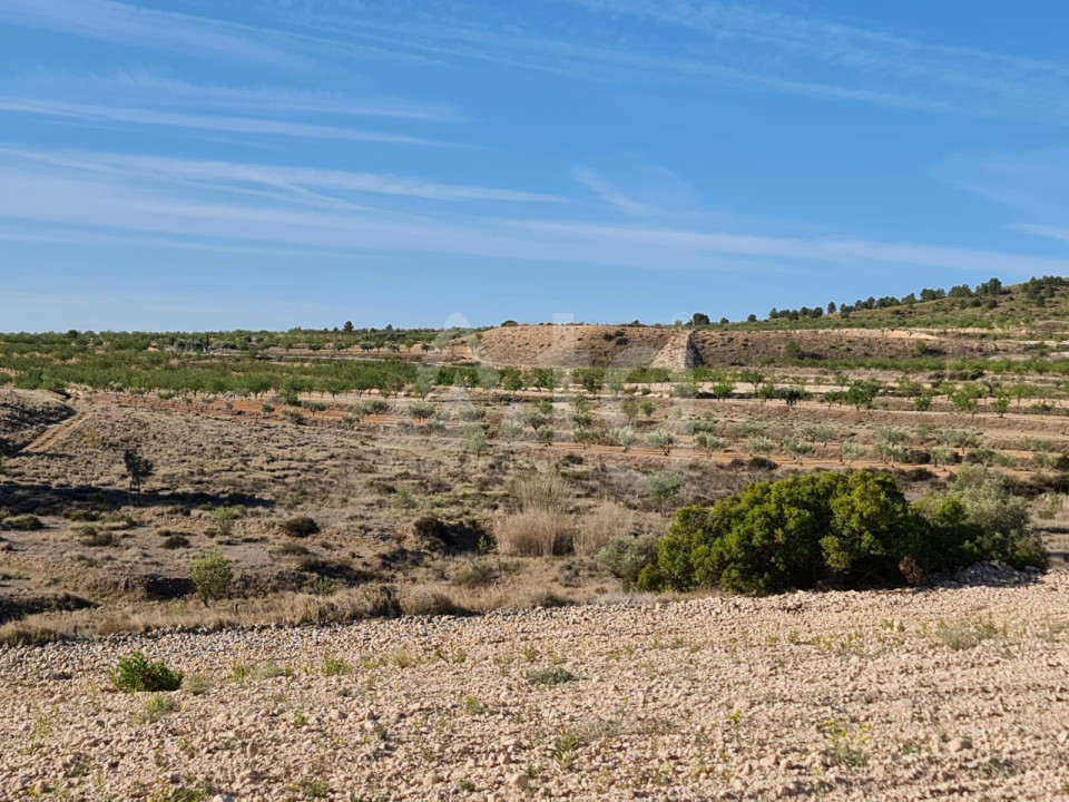  Grundstück in Murcia- SIP56396 - 10