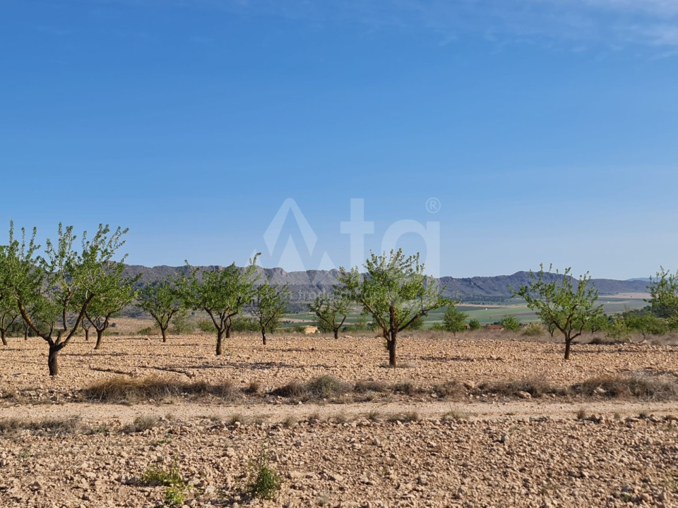  Grundstück in Murcia- SIP56397 - 7