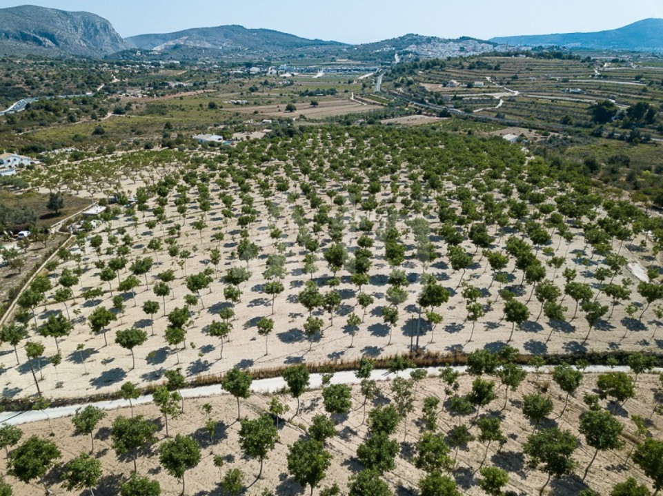  Plot in Benissa- MIG49719 - 1