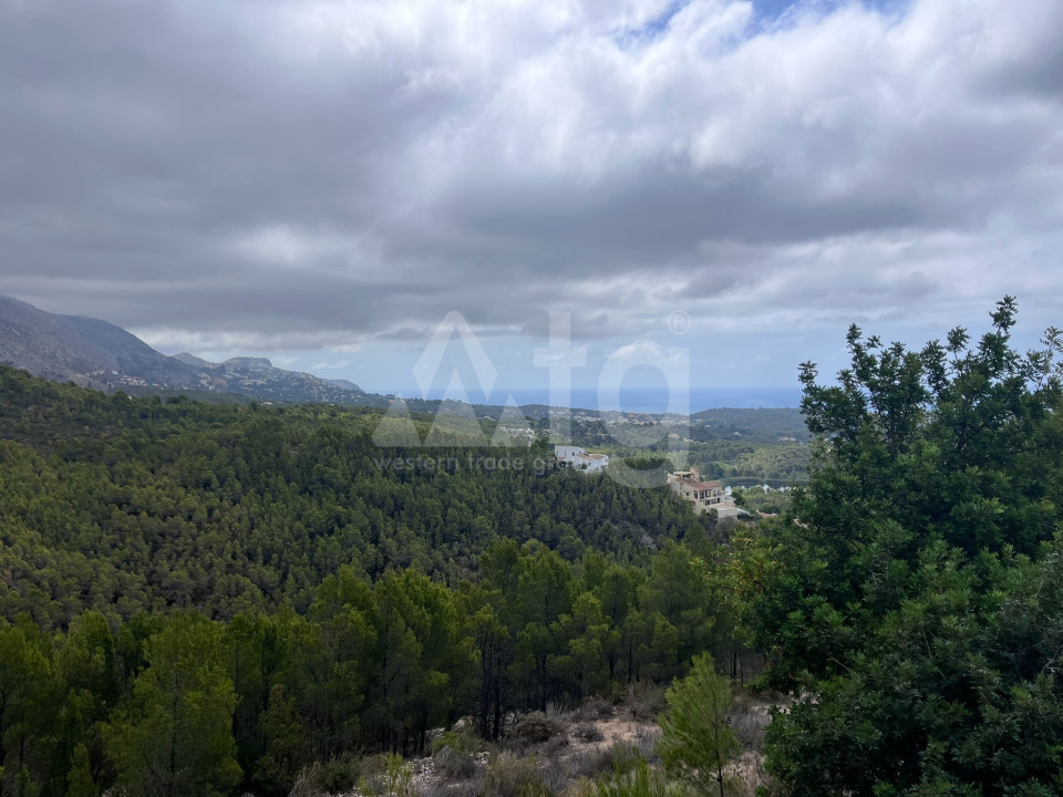  Plot in Callosa De Segura- PVS59836 - 1