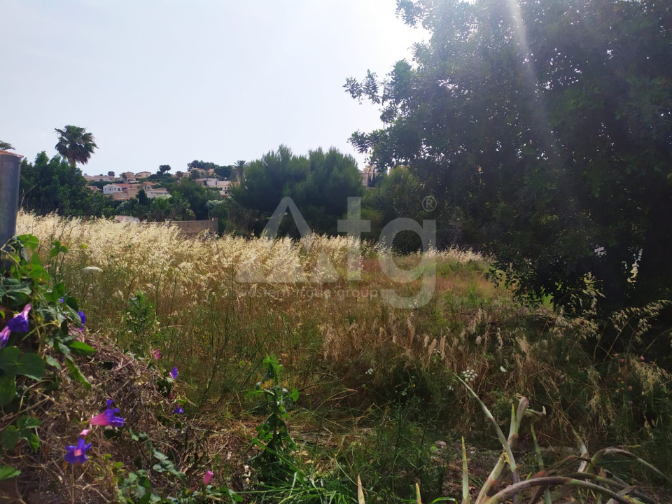  Plot in Calpe- PVS44486 - 1