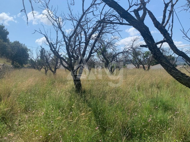  Plot in Javea- PVJ51524 - 3