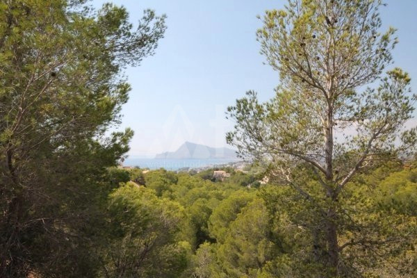 Terrain de  à Altea- BES45345 - 4