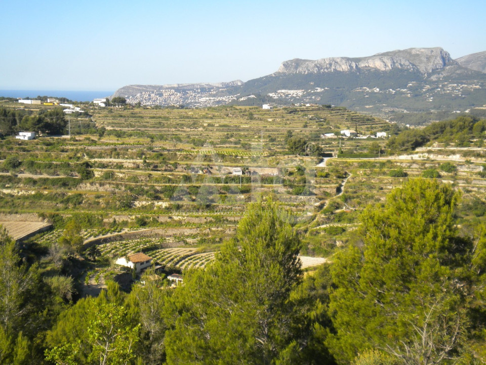 Terrain de  à Benissa- AVS57656 - 1