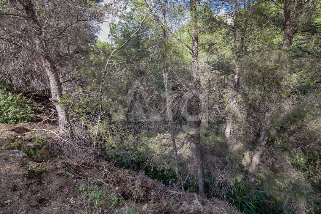 Terrain de  à Benissa- MIG40266 - 1