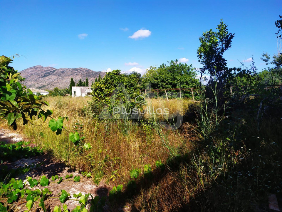 Terrain de  à Benissa- PVS38705 - 14