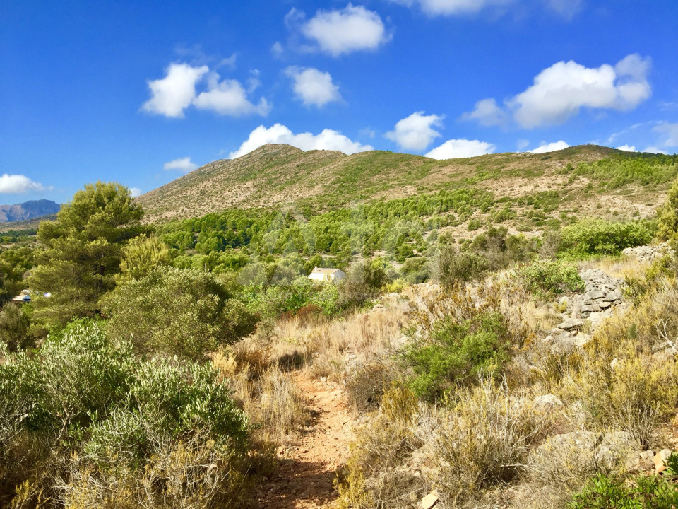 Terrain de  à Benissa- PVS38729 - 11