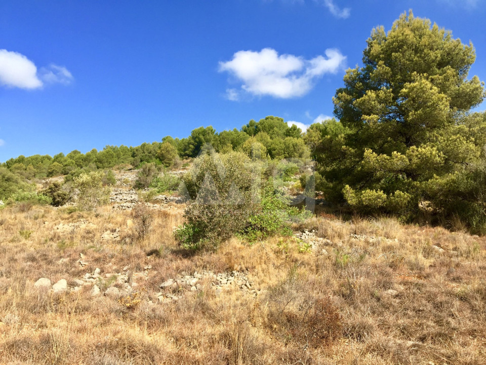 Terrain de  à Benissa- PVS38729 - 14