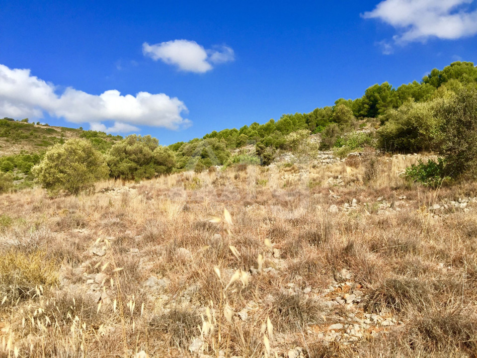 Terrain de  à Benissa- PVS38729 - 18