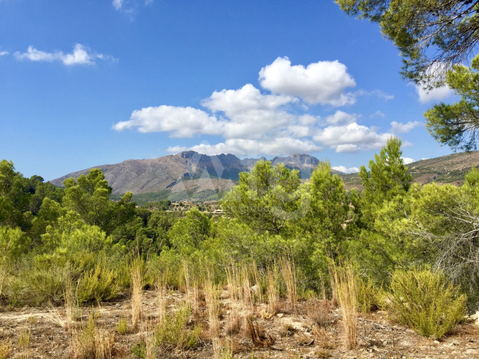 Terrain de  à Benissa- PVS38730 - 23