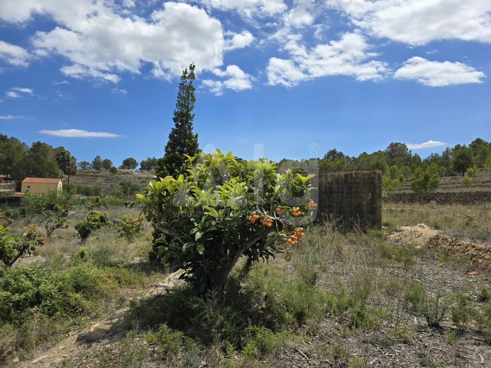 Terrain de  à La Nucia- PX57502 - 16