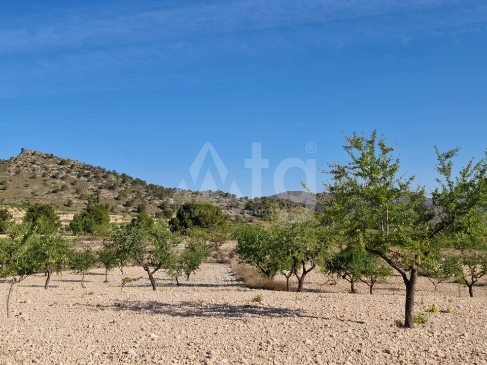 Terrain de  à Murcia- SIP56396 - 4