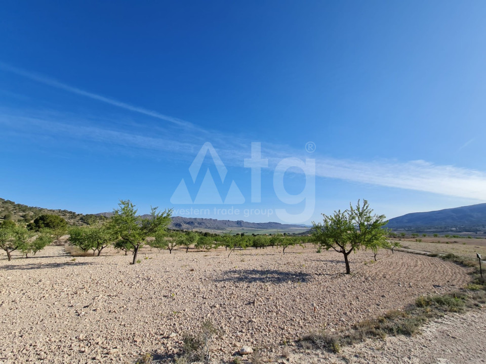 Terrain de  à Murcia- SIP56396 - 9