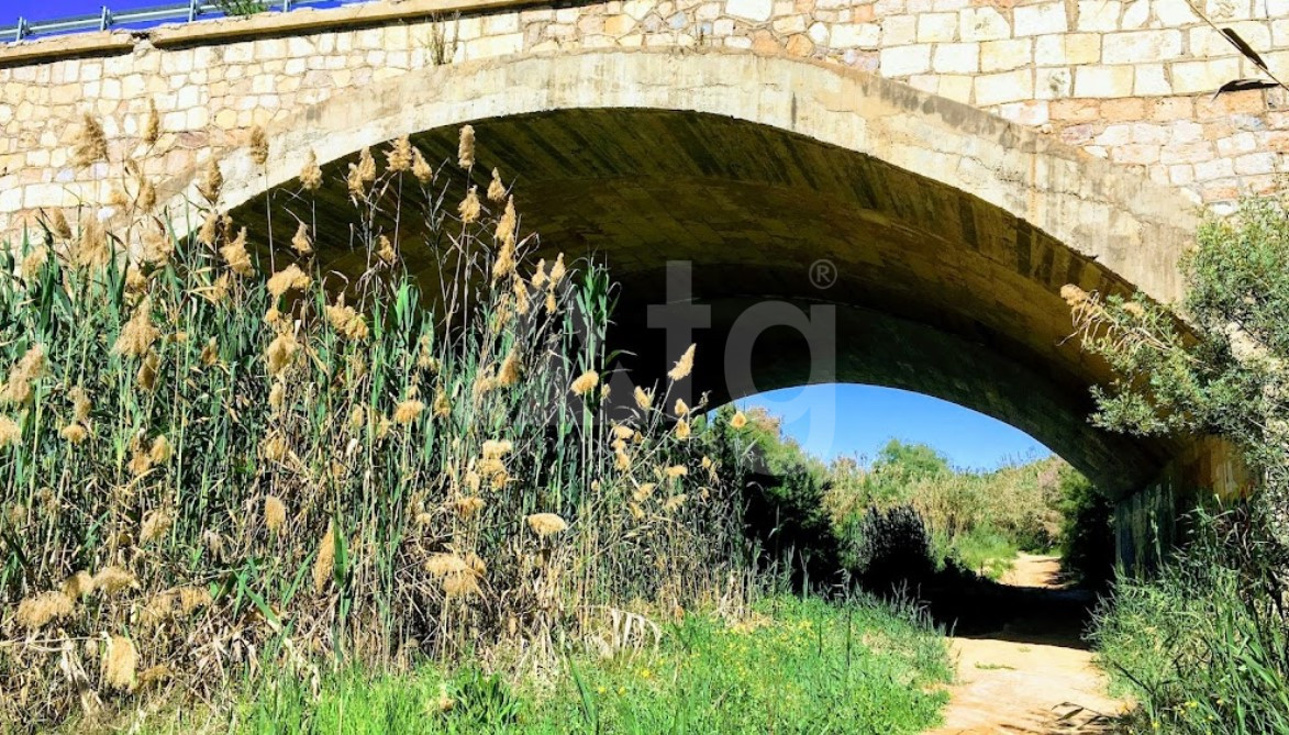 Villa de 3 chambres à Pilar de la Horadada - BM34110 - 7