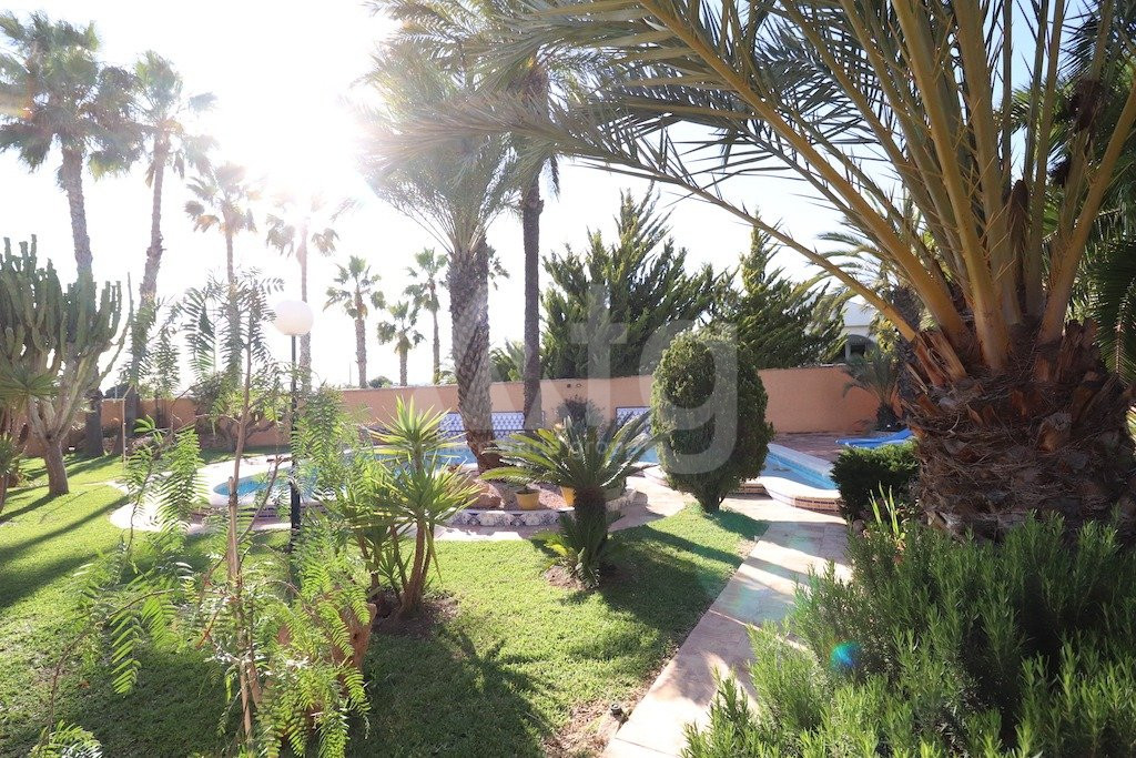 Villa de 5 chambres à Torrevieja - CRR41231 - 36