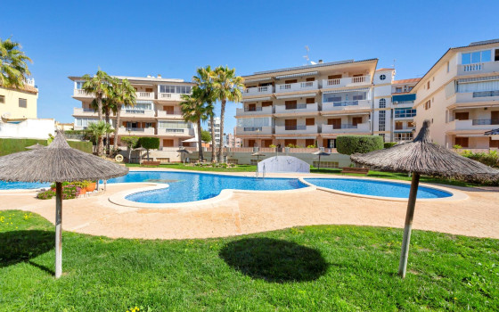 1 ložnice Apartmán v La Mata - GVS51780 - 1