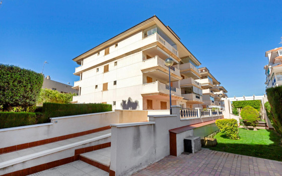 1 ložnice Apartmán v La Mata - GVS51780 - 21