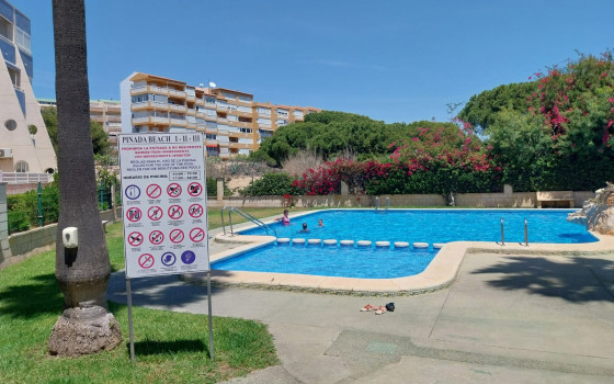 1 ložnice Apartmán v La Mata - SLN55839 - 2