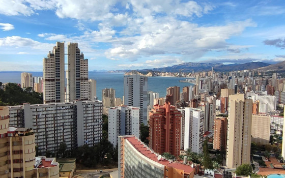 1 Schlafzimmer Appartement in Benidorm - CPP59981 - 33