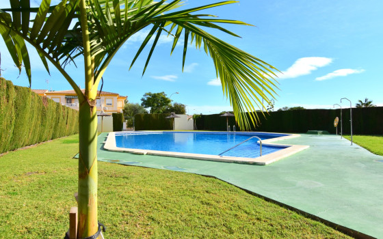 1 Schlafzimmer Bungalow in Playa Flamenca - VRE59275 - 13