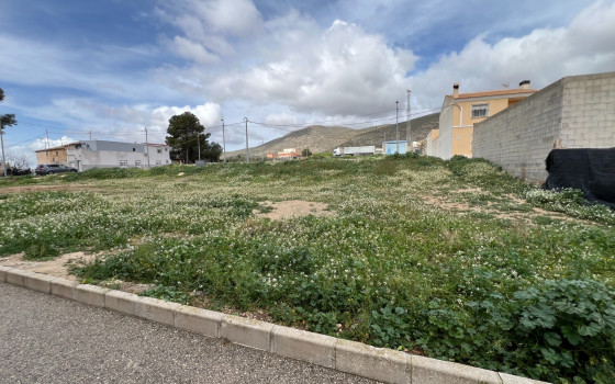  Plot in Hondón de los Frailes- CNM131429 - Photo - 1