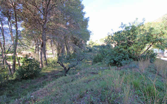 Pozemek   v Alcalalí, - PGP132582 - Foto - 1