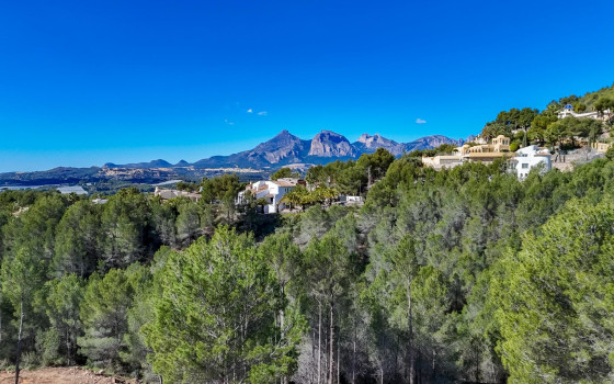  Plot in Callosa de Ensarriá- ICB143628 - Photo - 1