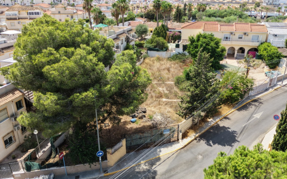 Parcela de 3 habitaciones en Algorfa - CCT153291 - Foto - 1