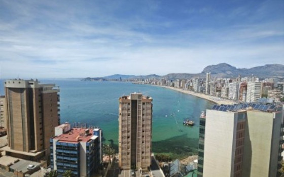 2 bedroom Apartment in Benidorm - CPP60023 - 15