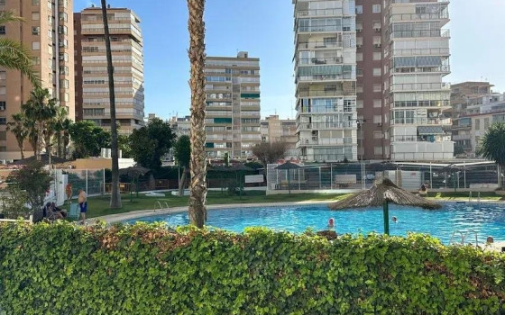 2 bedroom Apartment in Benidorm - CPP60822 - 17