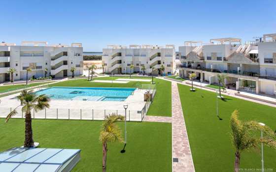 2 bedroom Apartment in Guardamar del Segura - BCH58412 - 1