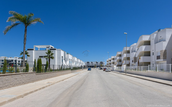 2 bedroom Apartment in Guardamar del Segura - BCH58412 - 40